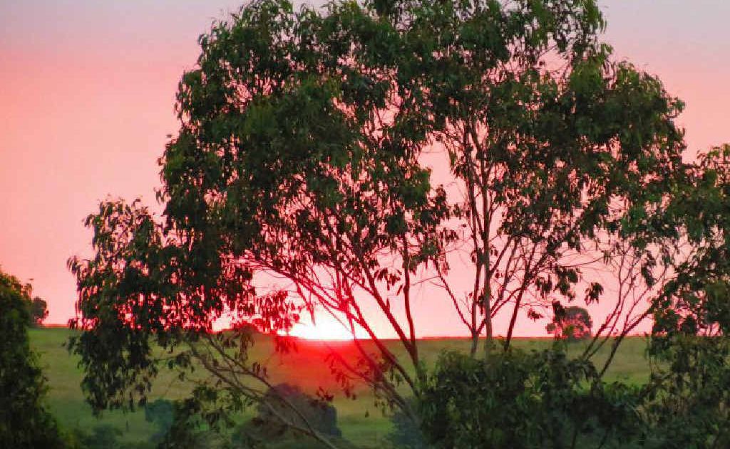 Helena Moore snapped this great shot of the red sun. Helena Moore snapped this great shot of the red sun.